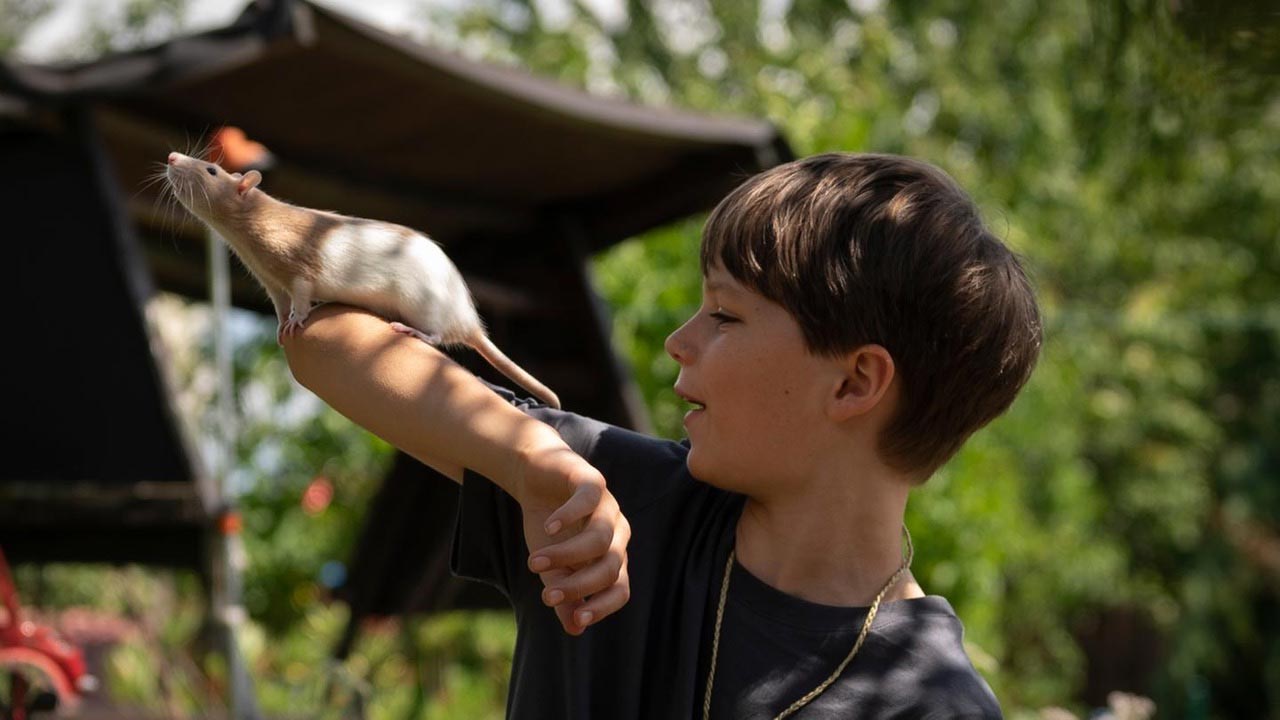 Club der bunten Ratten Kinderkurzfilm